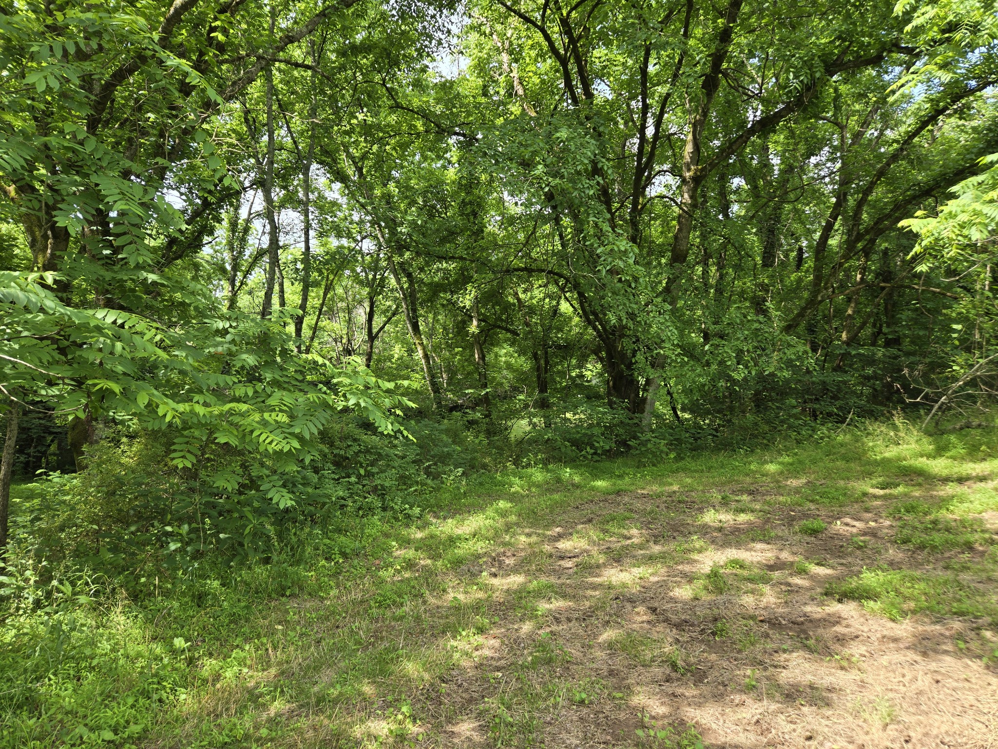 0 Mobley Ridge Road Duck River TN 38454