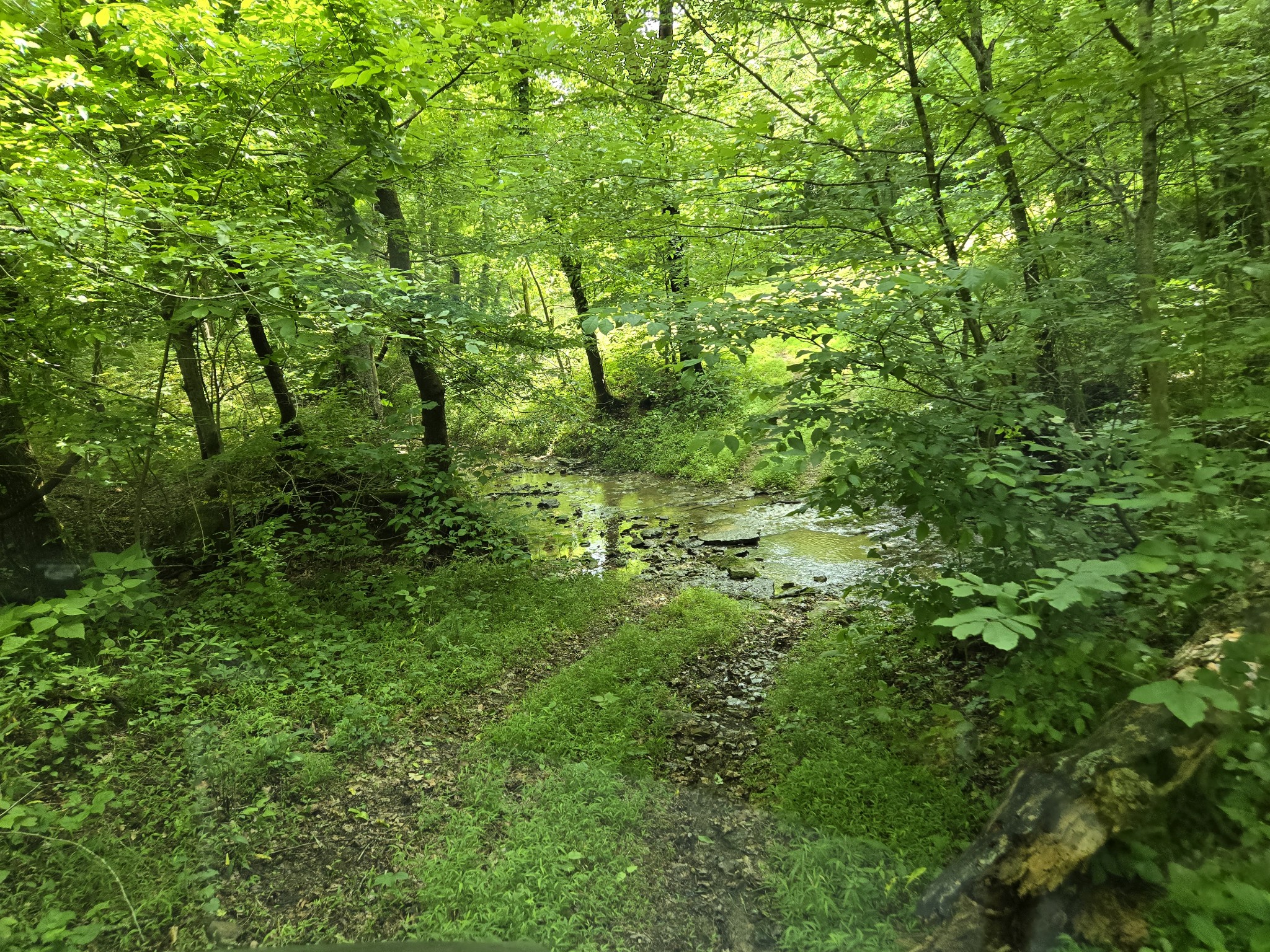 0 Mobley Ridge Road Duck River TN 38454