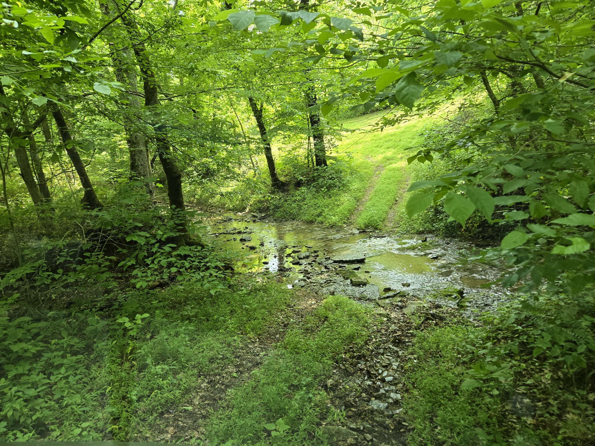 0 Mobley Ridge Road Duck River TN 38454