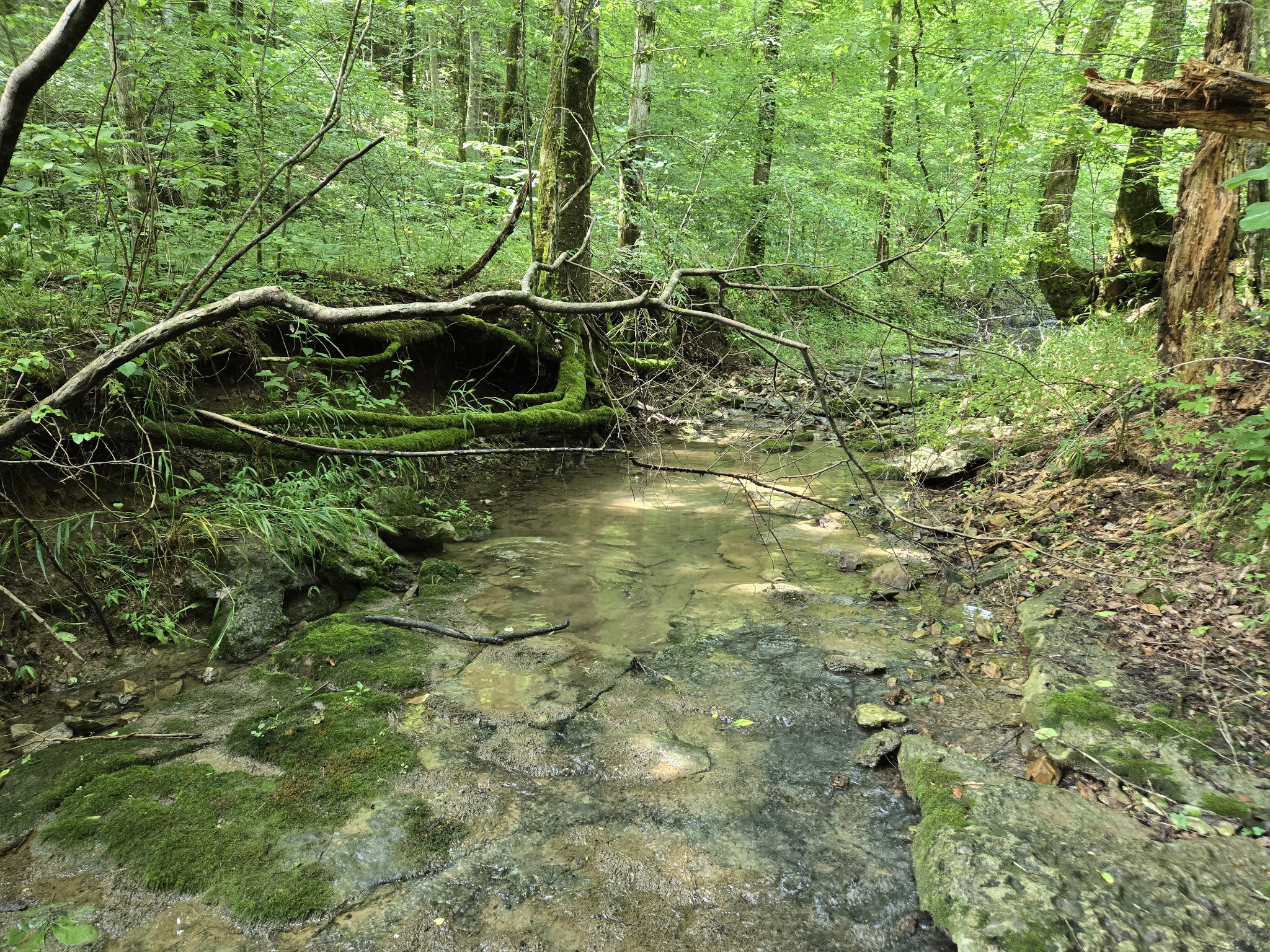 0 Mobley Ridge Road Duck River TN 38454