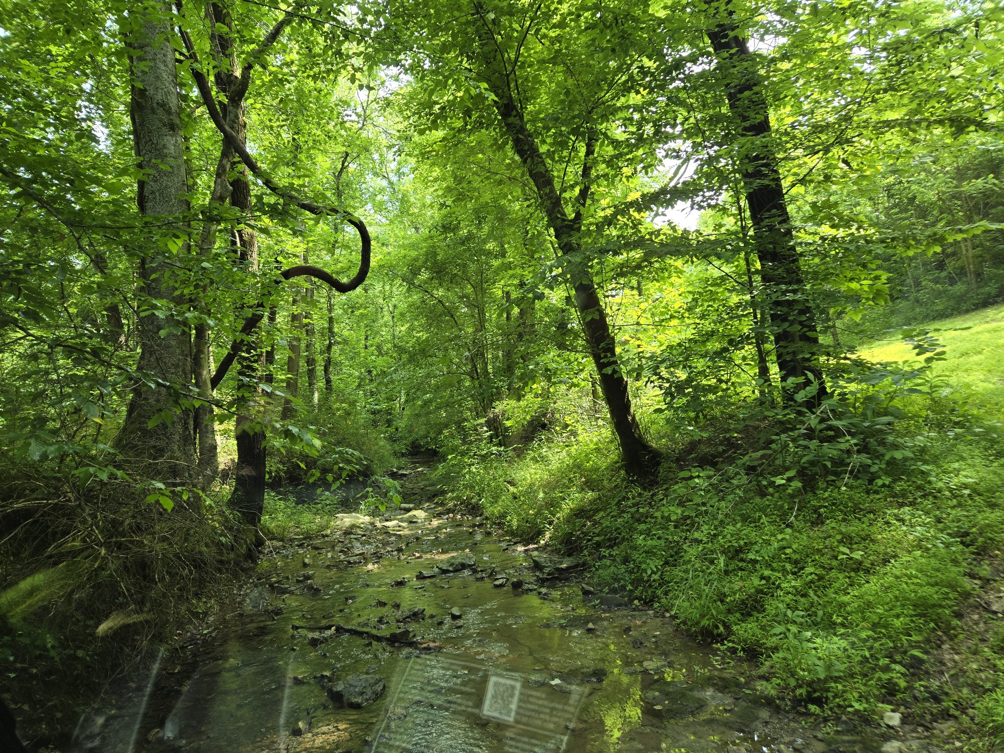 0 Mobley Ridge Road Duck River TN 38454