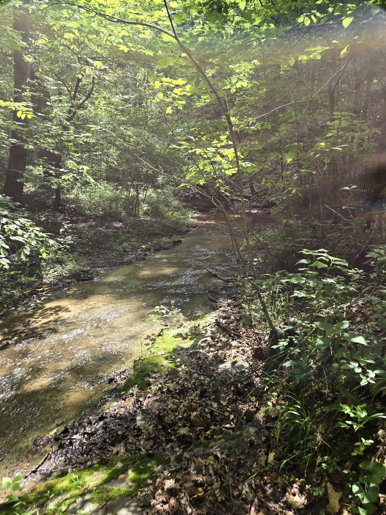 0 Mobley Ridge Road Duck River TN 38454