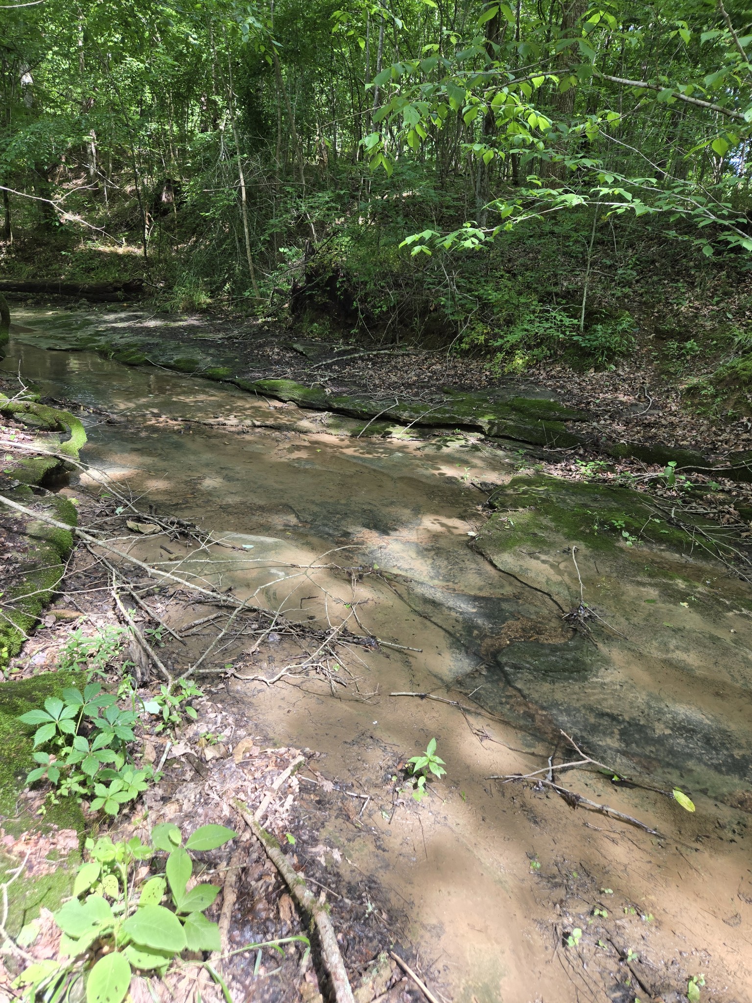 0 Mobley Ridge Road Duck River TN 38454