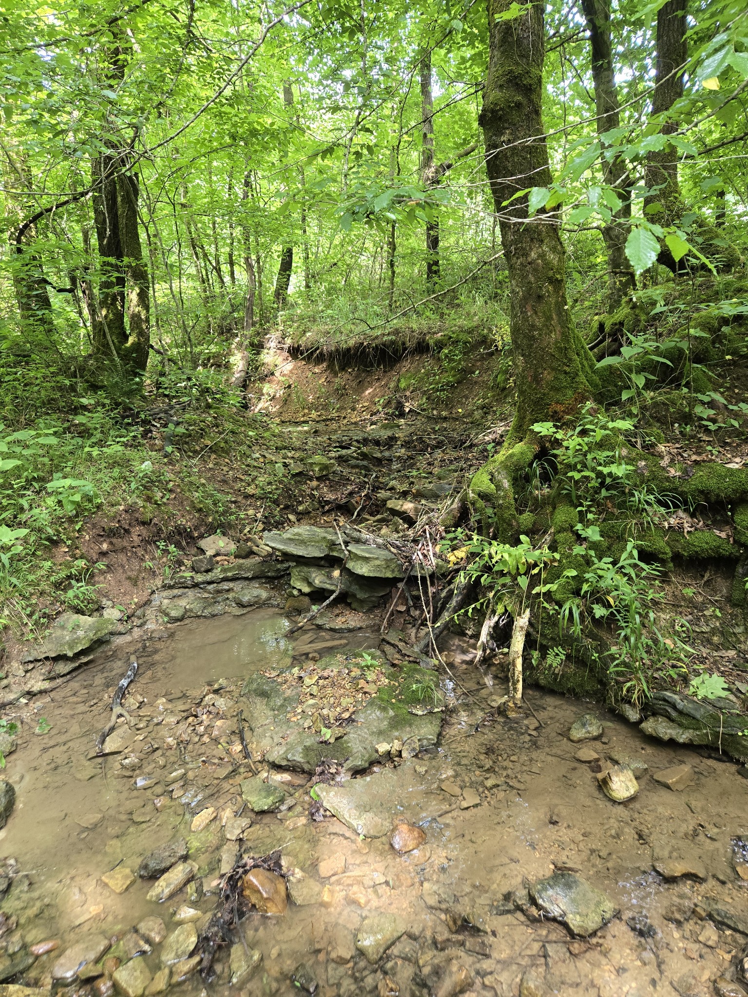 0 Mobley Ridge Road Duck River TN 38454