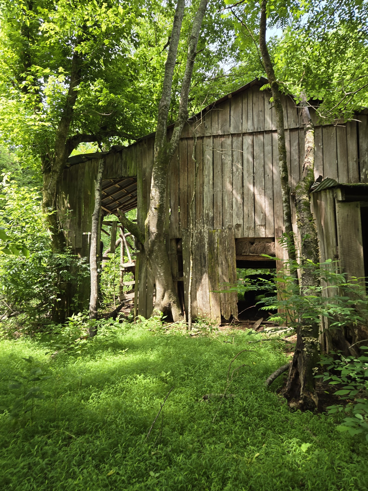 0 Mobley Ridge Road Duck River TN 38454