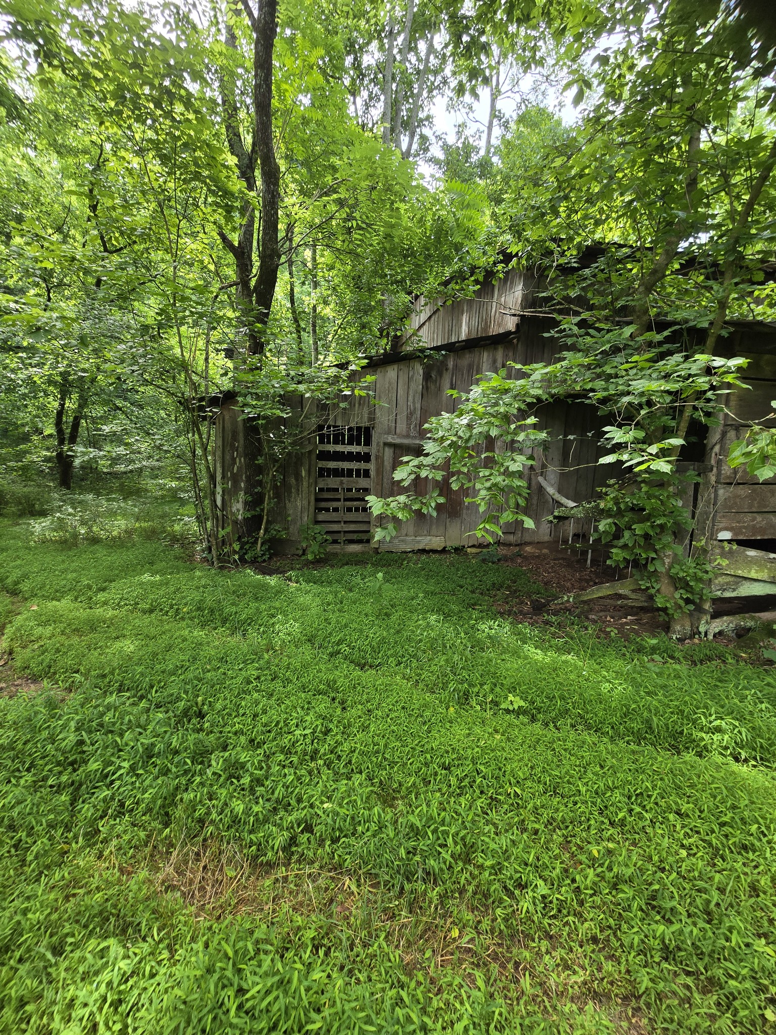 0 Mobley Ridge Road Duck River TN 38454