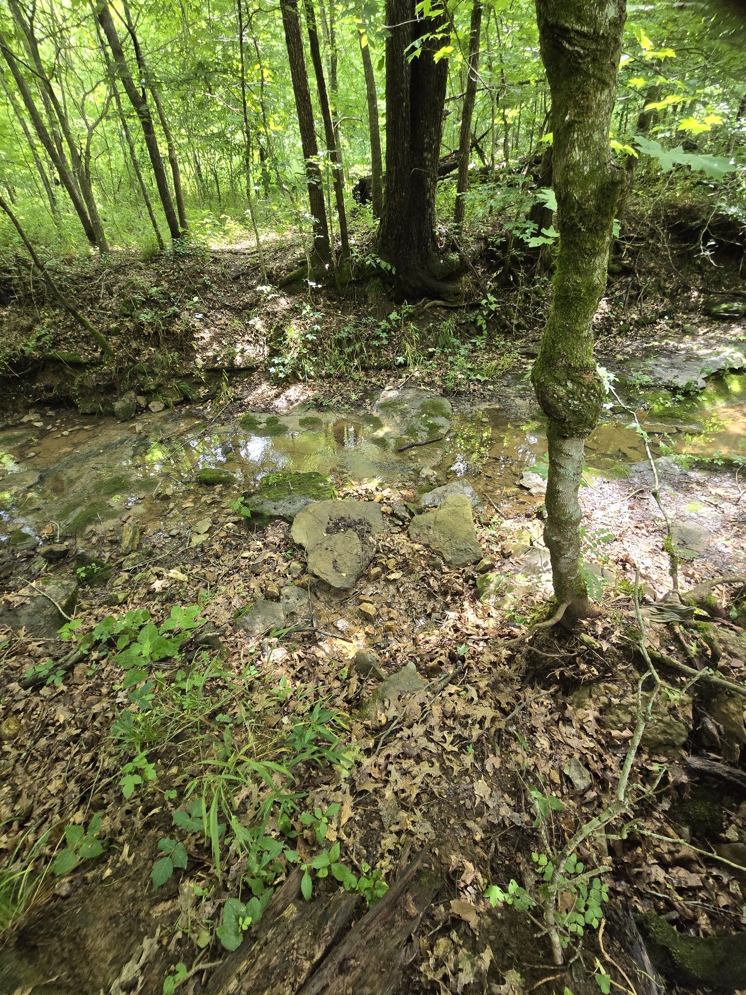0 Mobley Ridge Road Duck River TN 38454