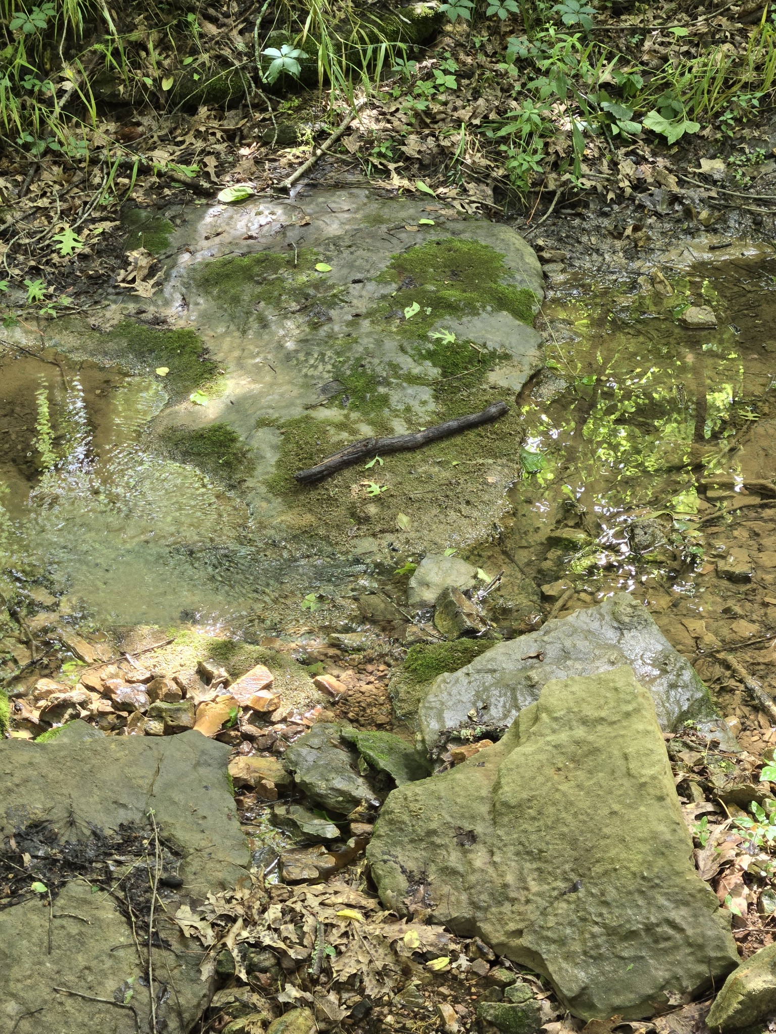 0 Mobley Ridge Road Duck River TN 38454