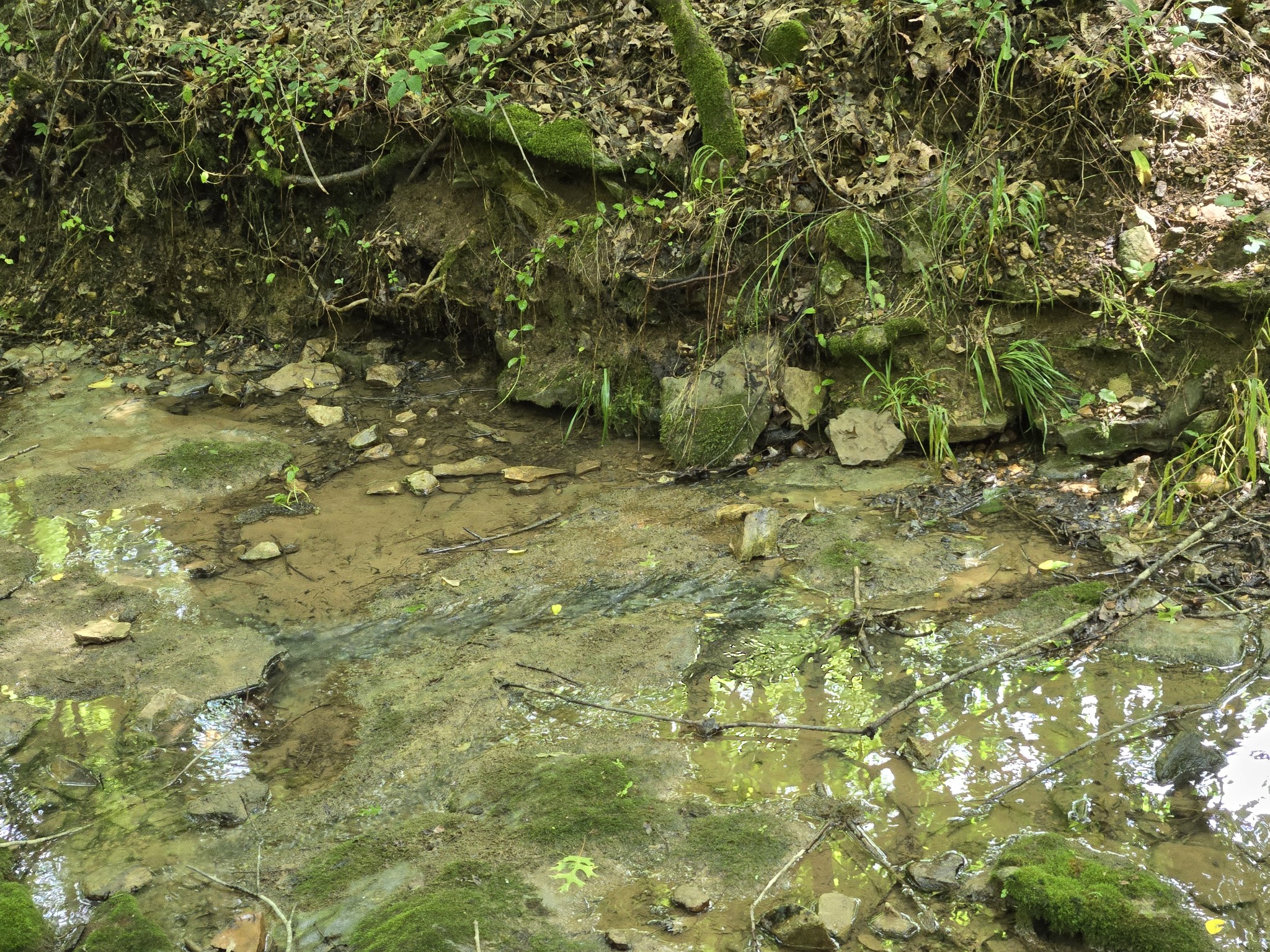0 Mobley Ridge Road Duck River TN 38454