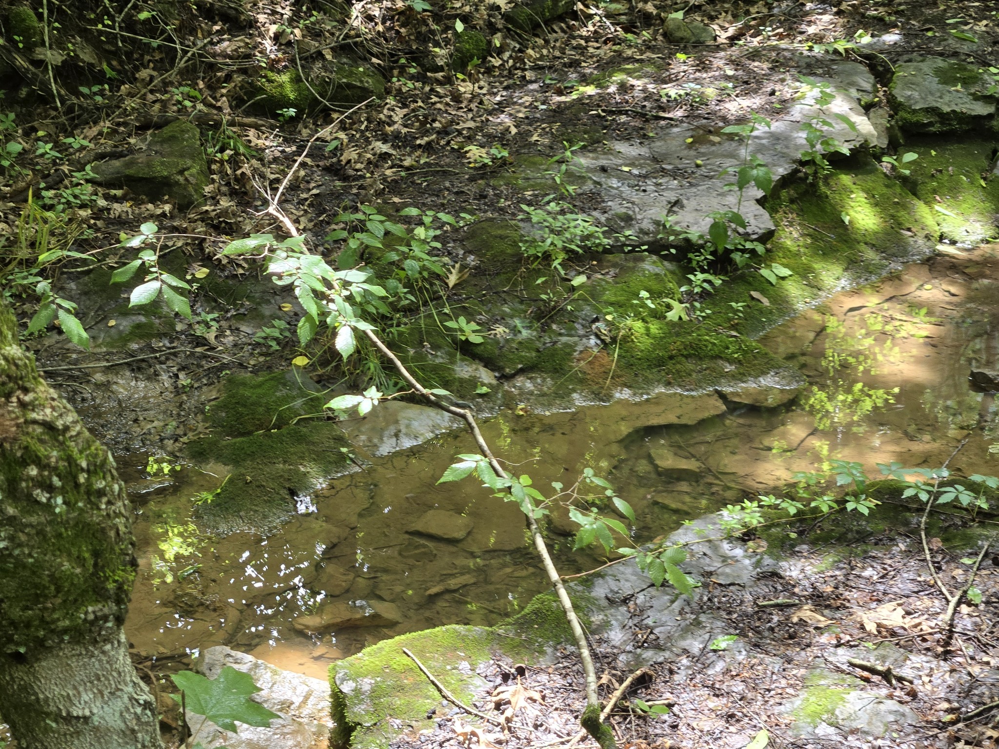 0 Mobley Ridge Road Duck River TN 38454