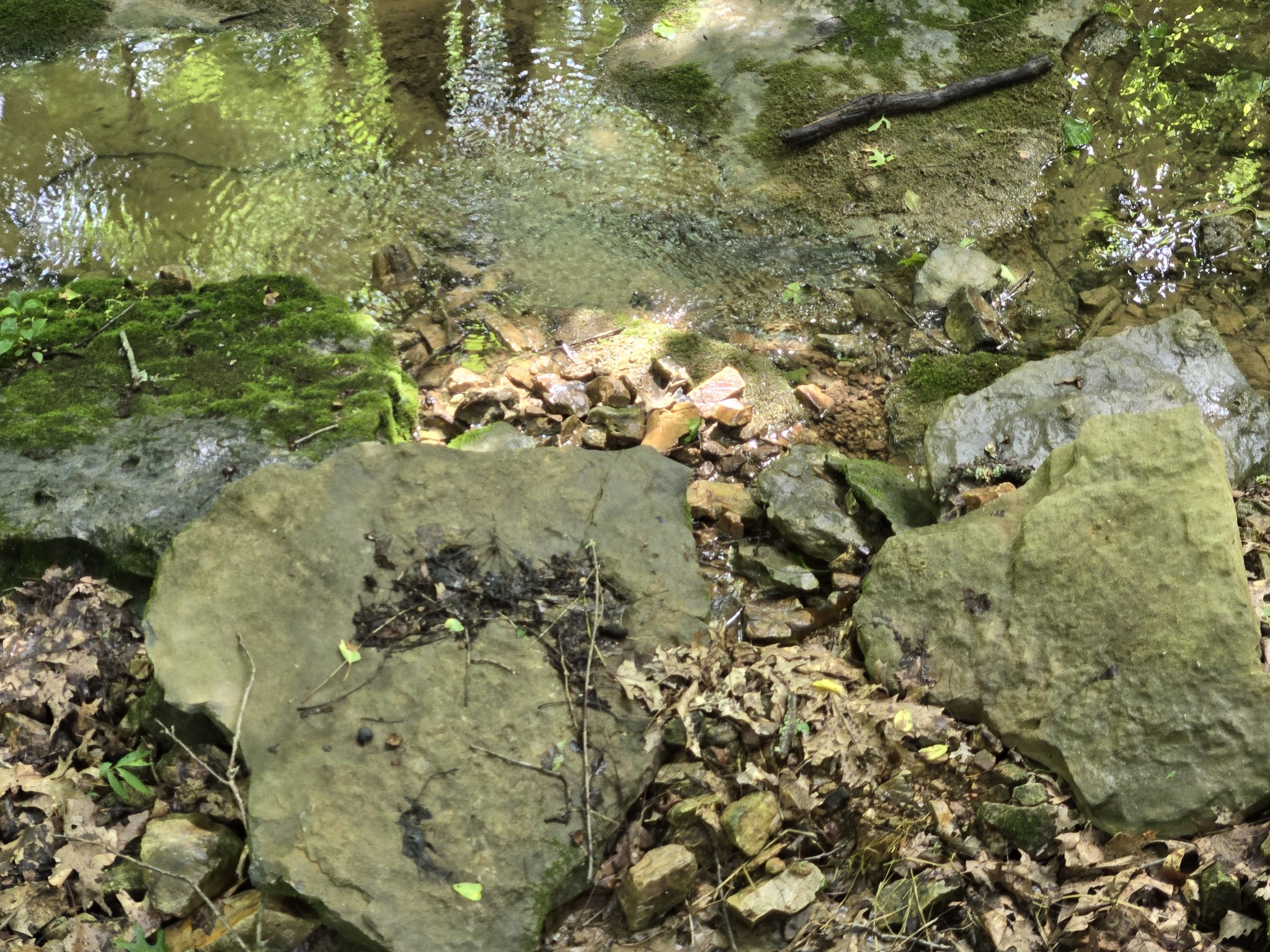 0 Mobley Ridge Road Duck River TN 38454