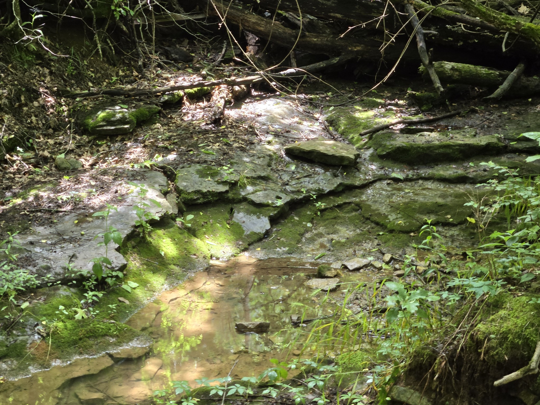 0 Mobley Ridge Road Duck River TN 38454