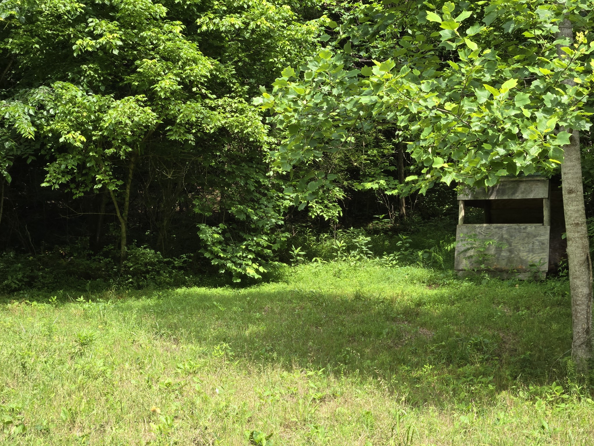 0 Mobley Ridge Road Duck River TN 38454