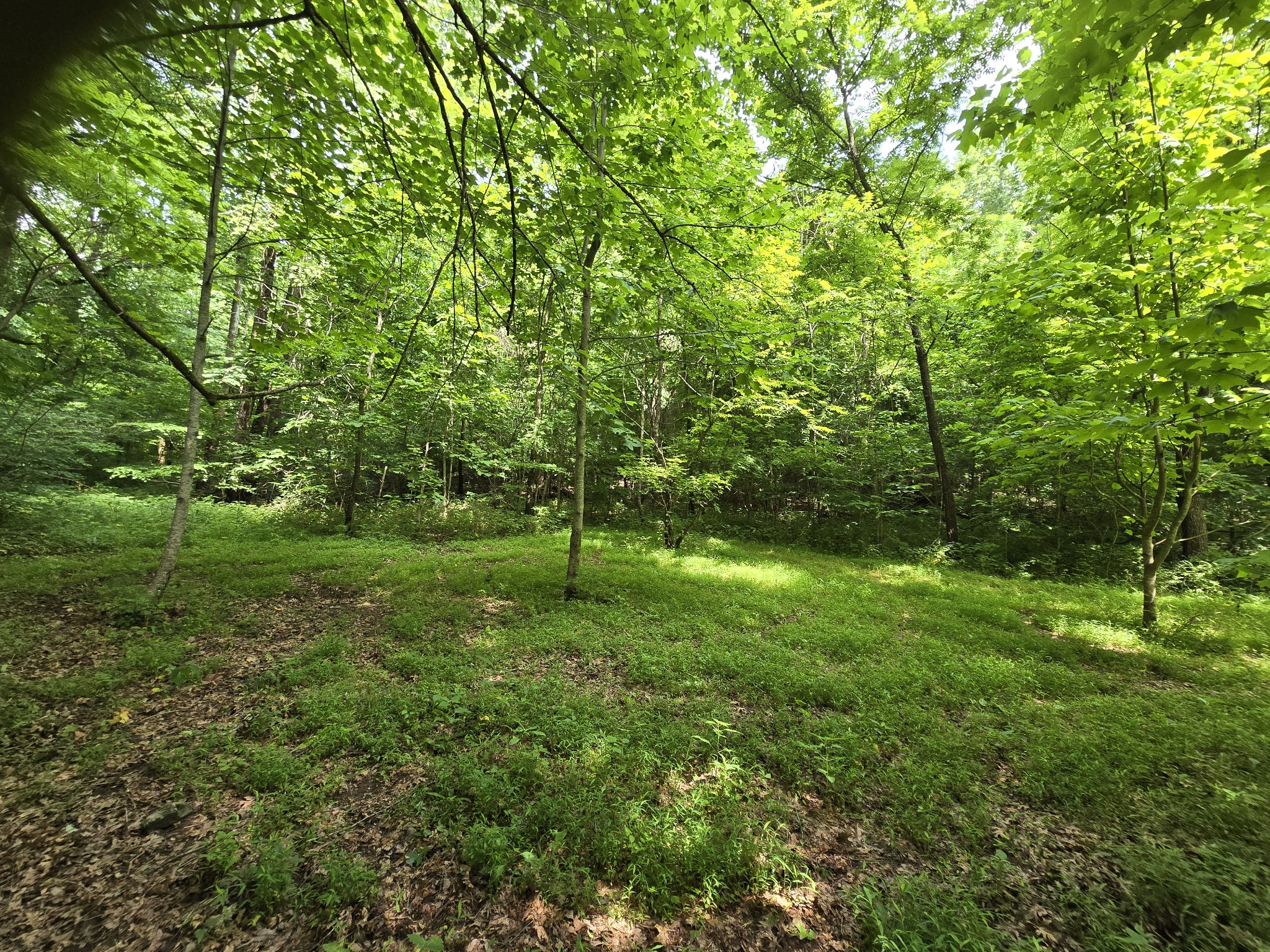 0 Mobley Ridge Road Duck River TN 38454