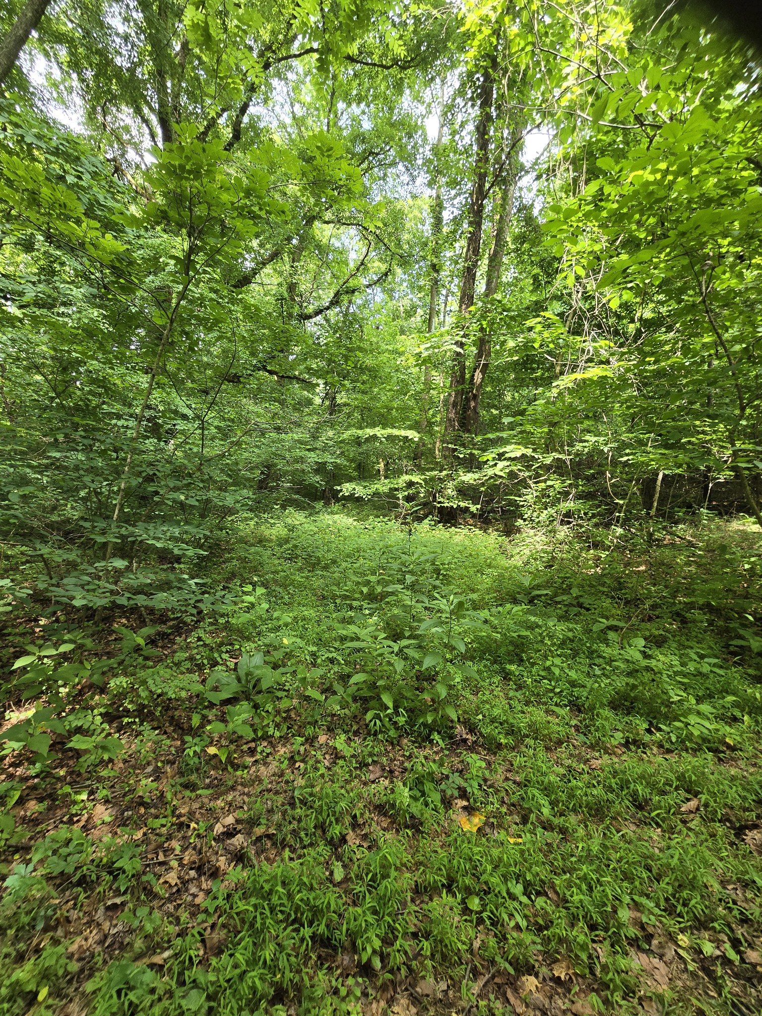 0 Mobley Ridge Road Duck River TN 38454