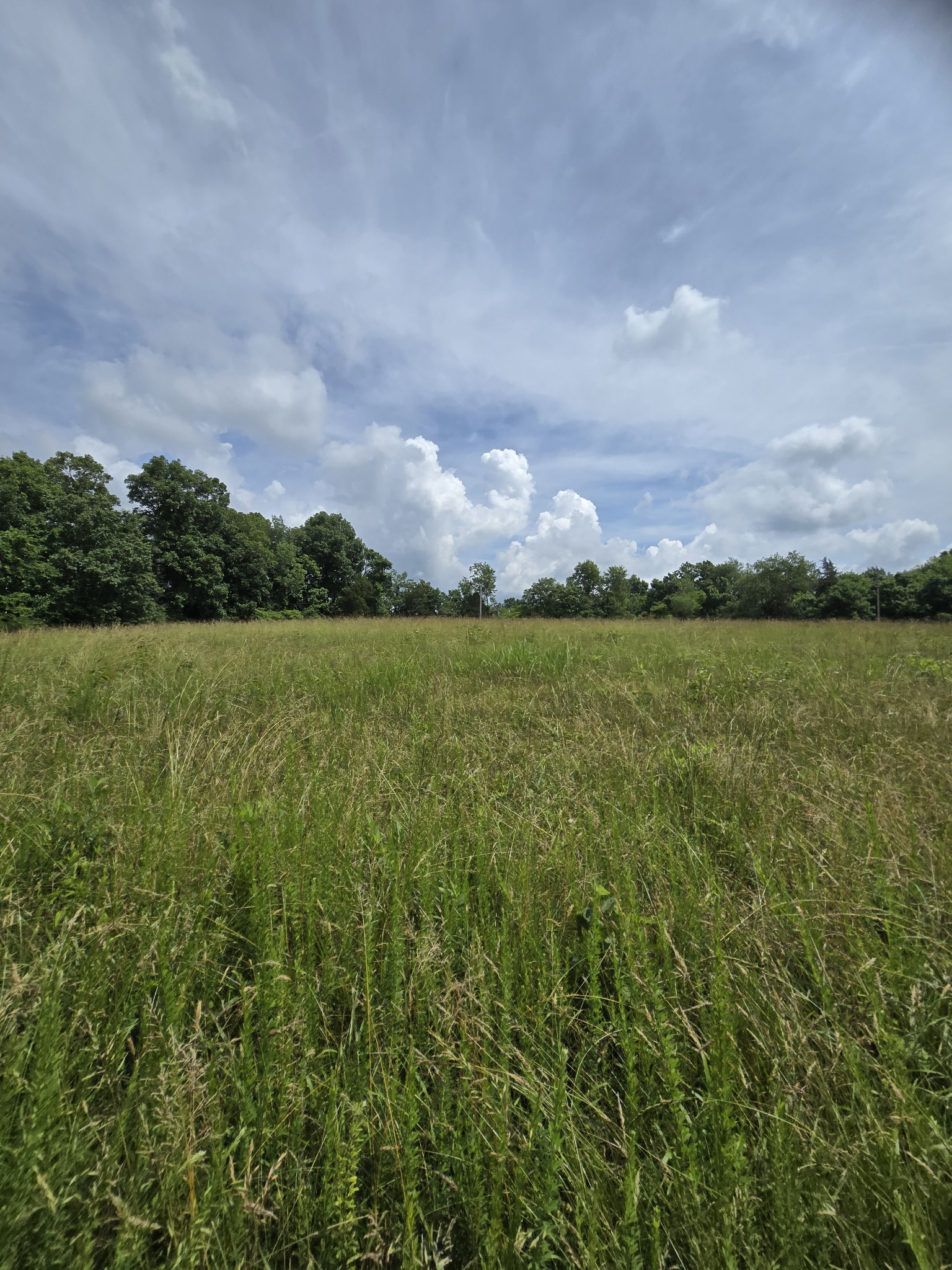 0 Mobley Ridge Road Duck River TN 38454