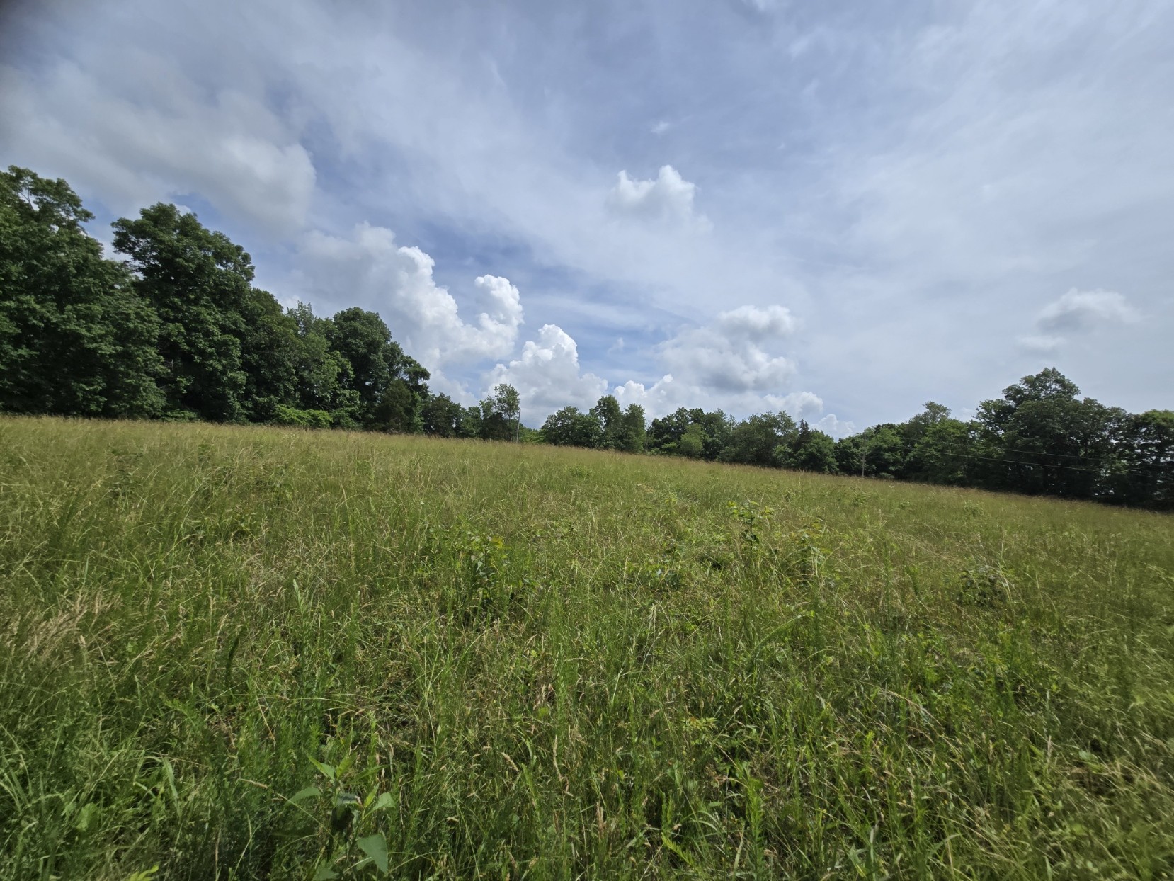 0 Mobley Ridge Road Duck River TN 38454