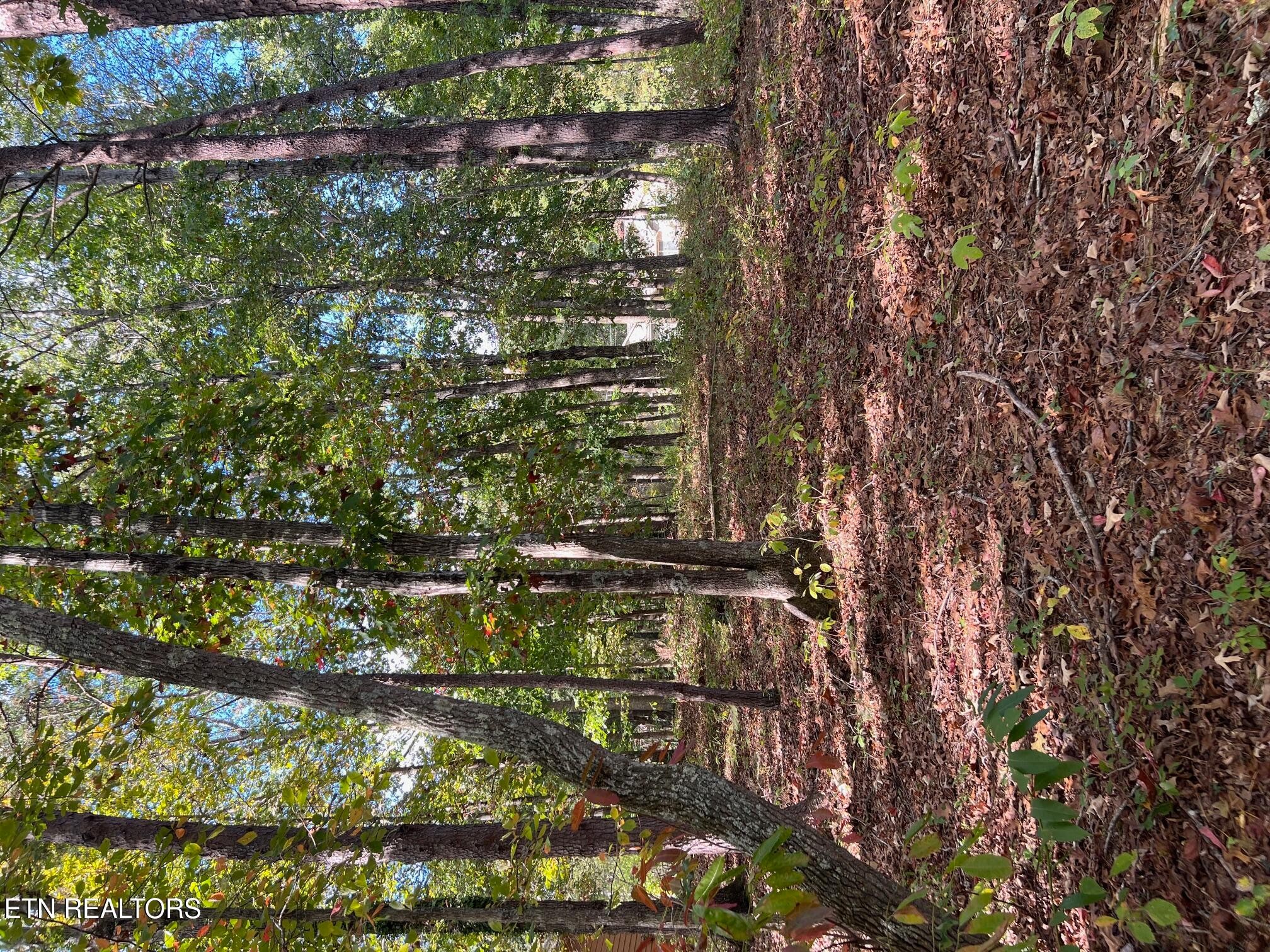 15 Andover Lane Crossville TN 38558