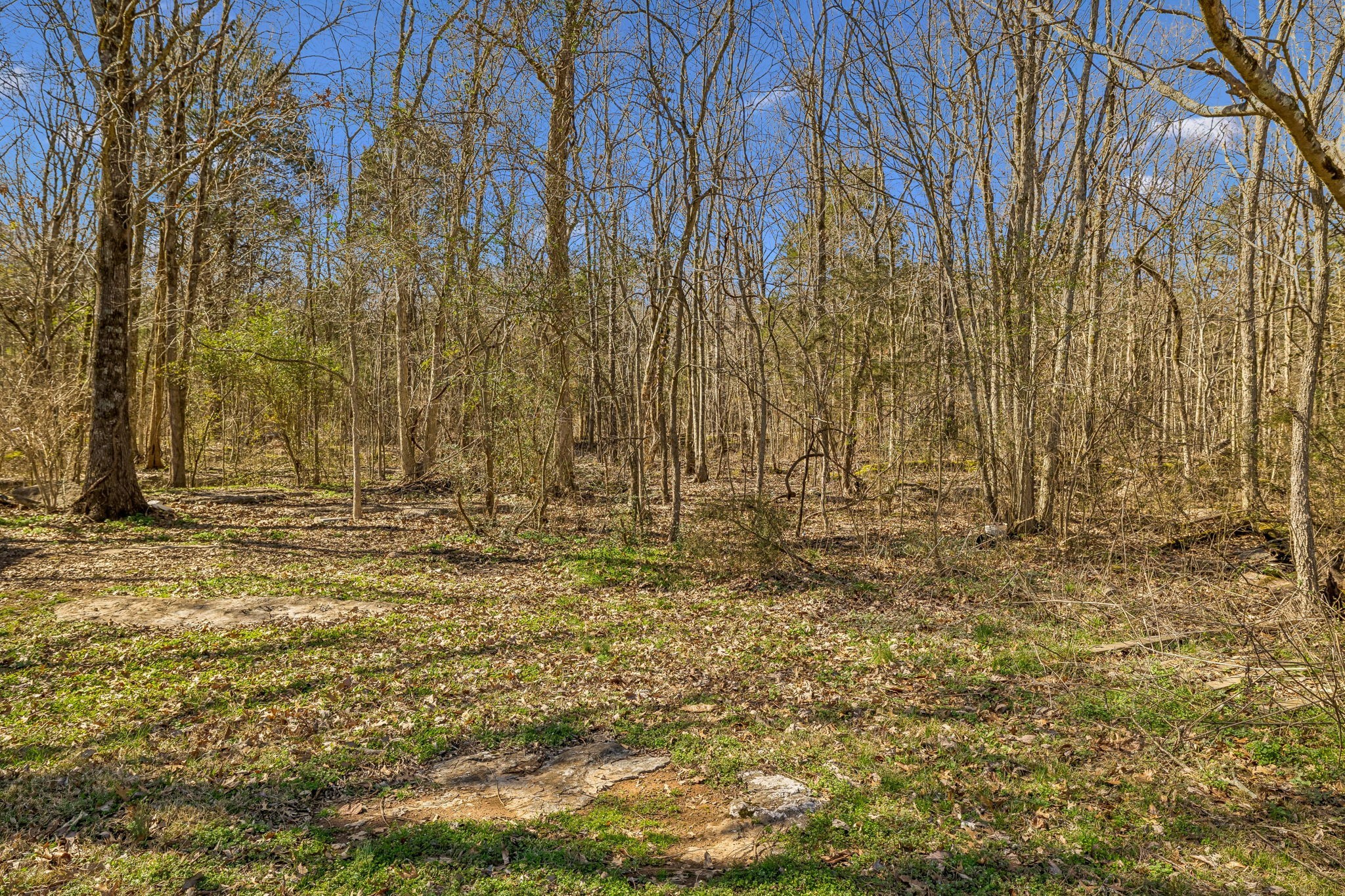 4025 Leanna Road Murfreesboro TN 37129