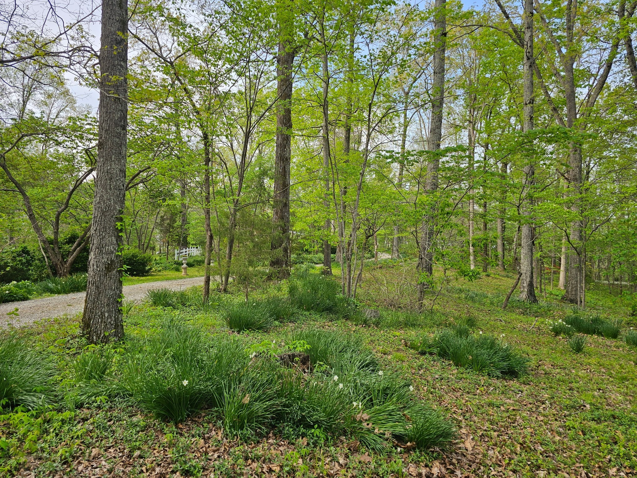 5180 Fire Tower Road Franklin TN 37064