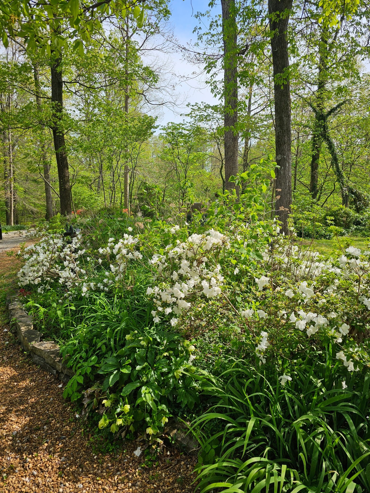 5180 Fire Tower Road Franklin TN 37064