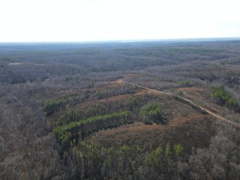0 North Fork Stewart TN 37175
