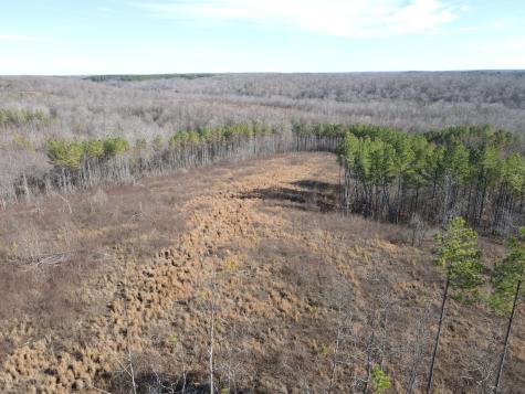 0 North Fork Stewart TN 37175