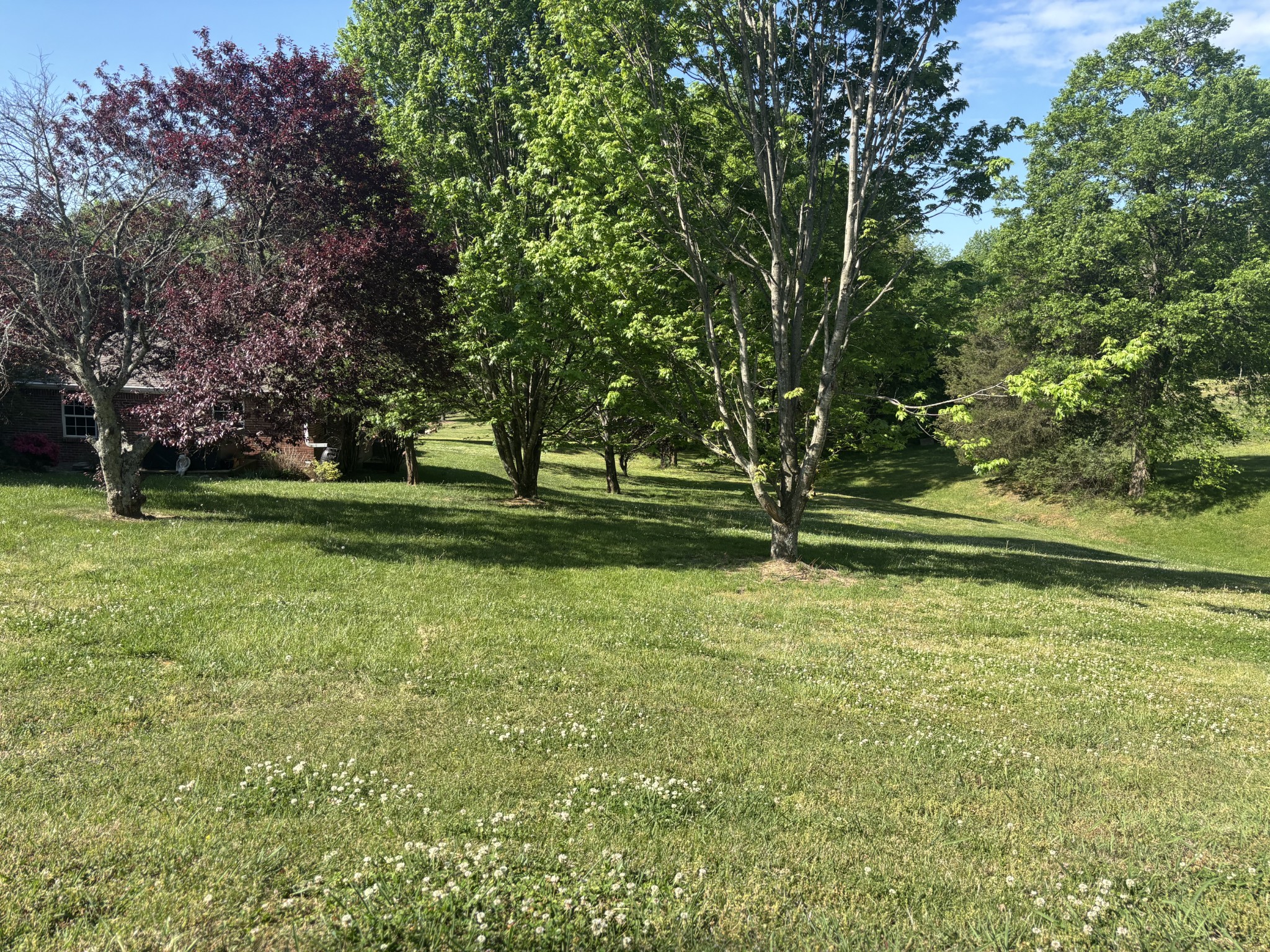 1739 Collins Hollow Road Lewisburg TN 37091