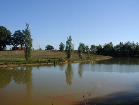 1030 Abiff Road Bon Aqua TN 37025