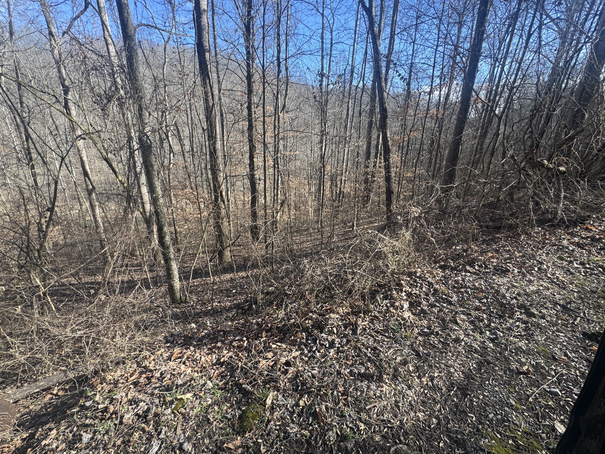 0 Lakeside Drive Smithville TN 37166