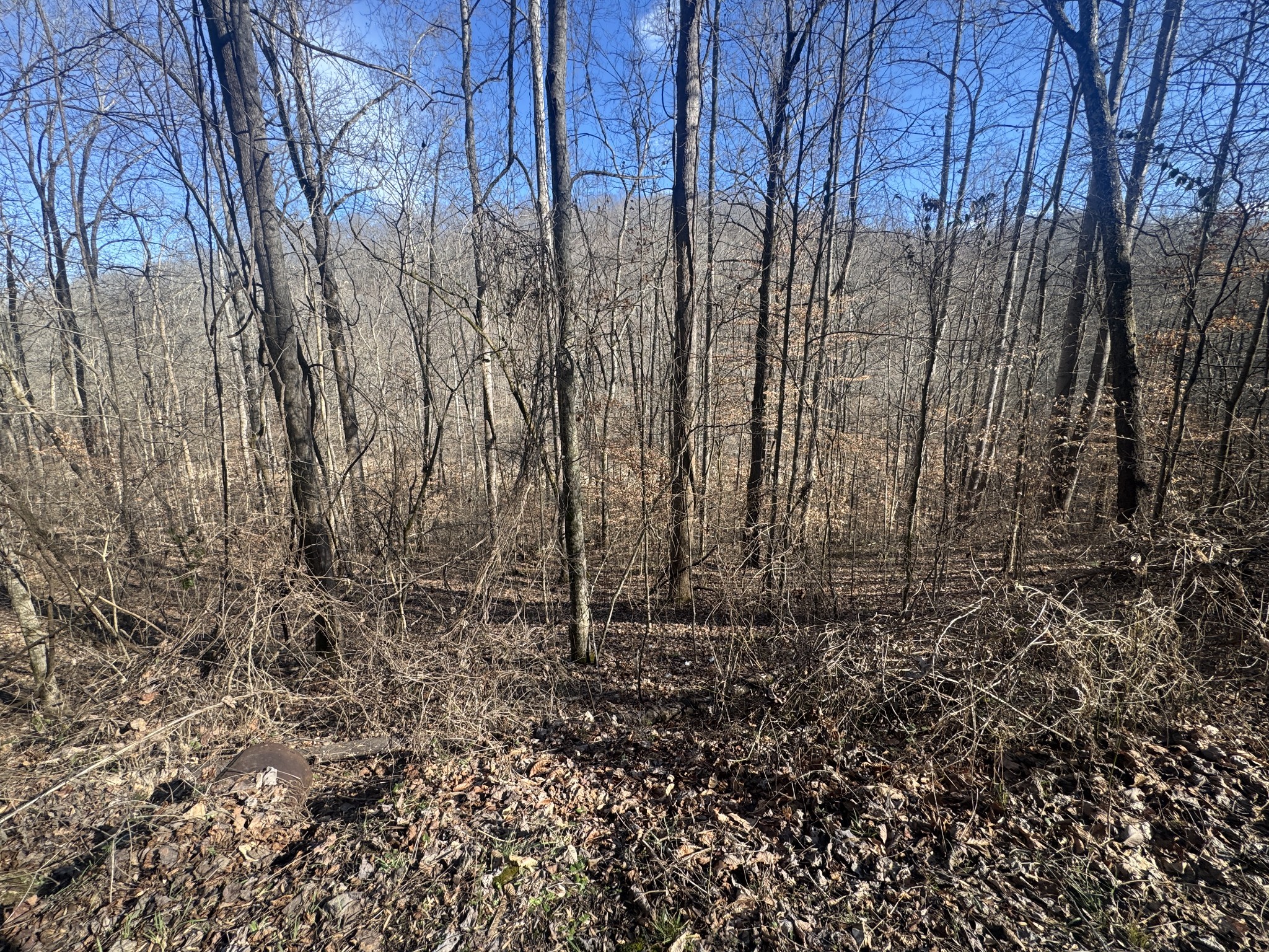 0 Lakeside Drive Smithville TN 37166