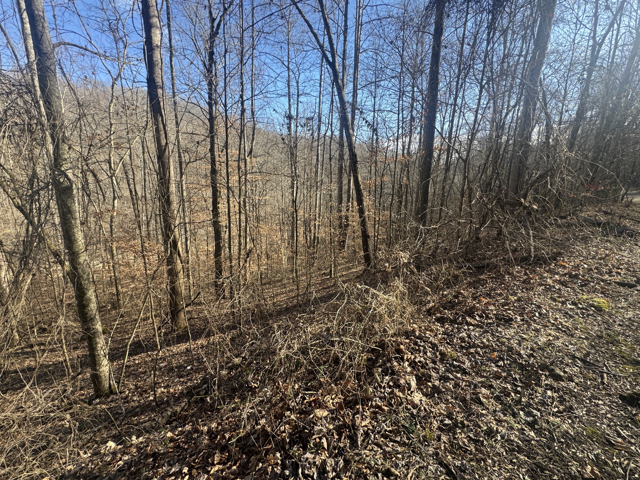 0 Lakeside Drive Smithville TN 37166
