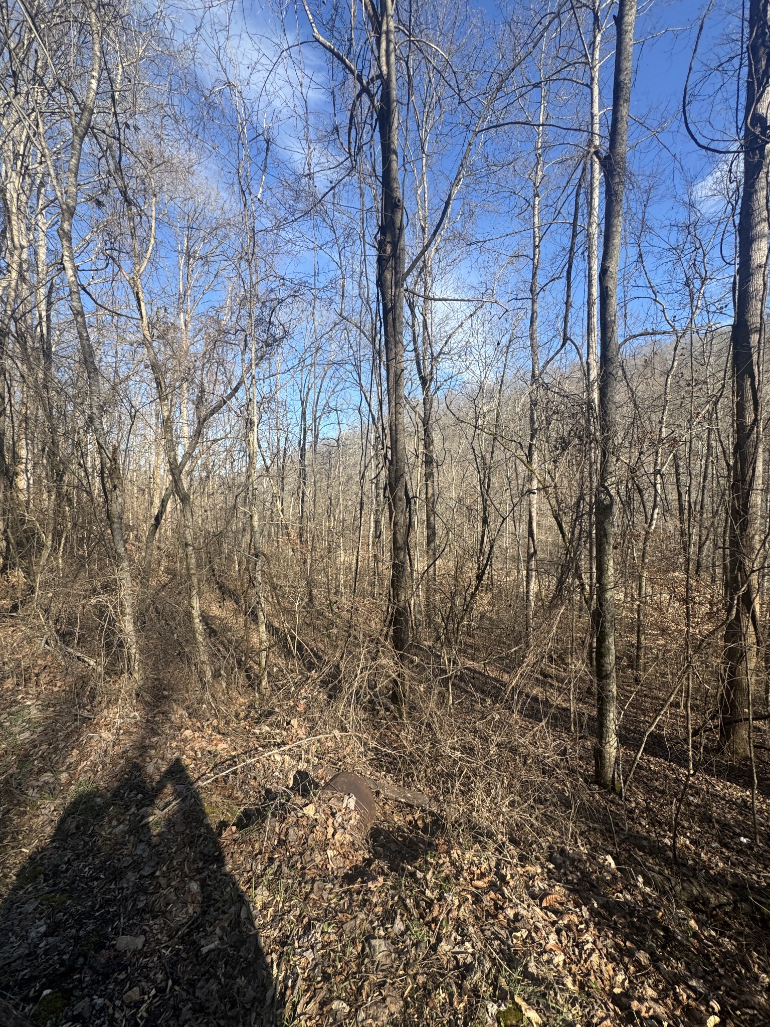 0 Lakeside Drive Smithville TN 37166