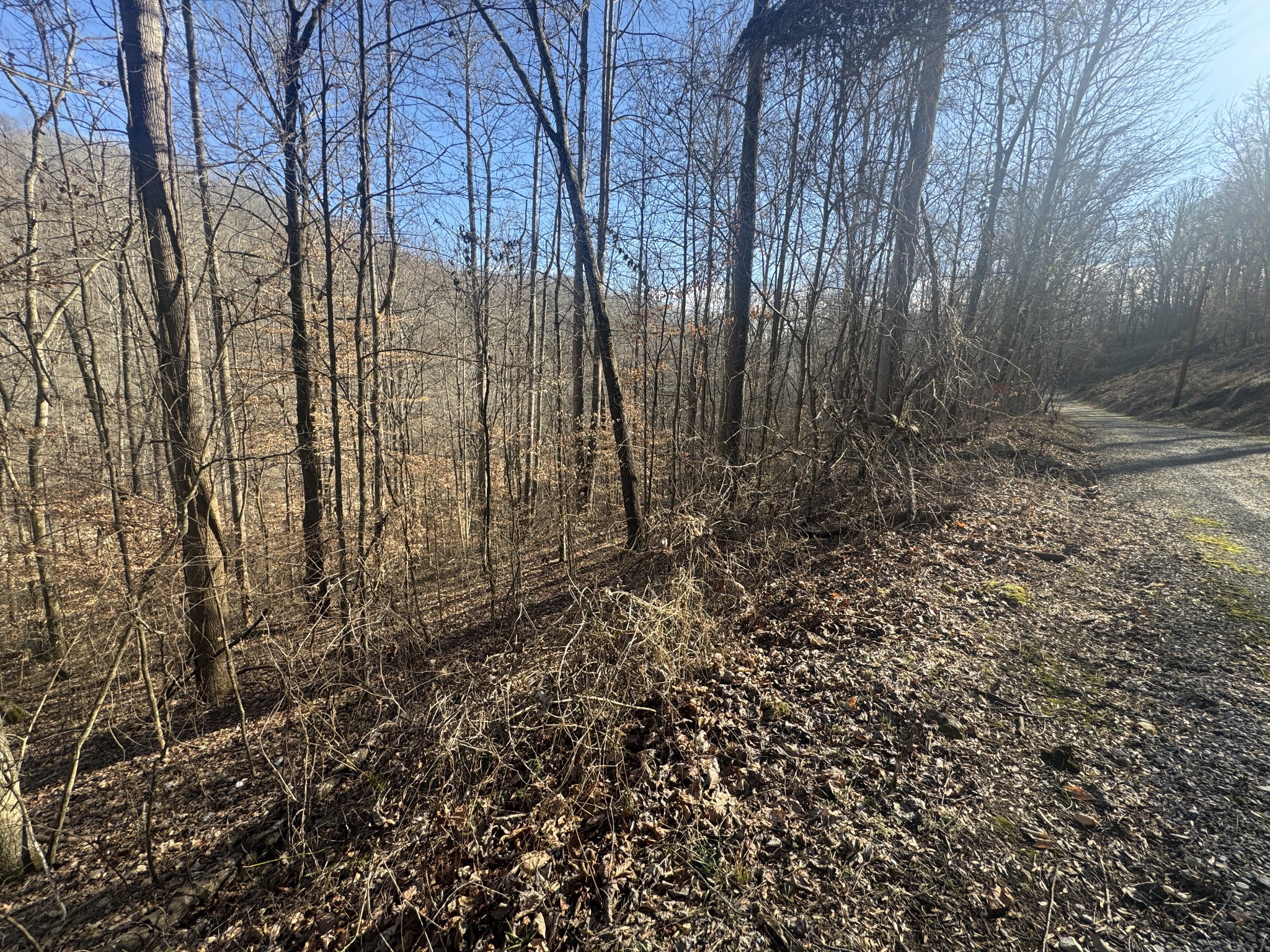 0 Lakeside Drive Smithville TN 37166