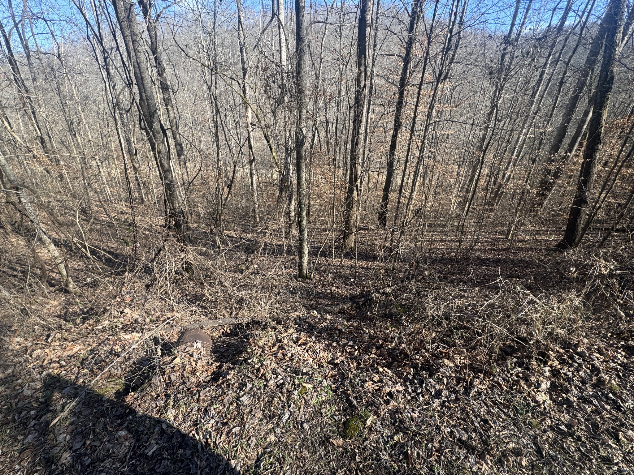0 Lakeside Drive Smithville TN 37166