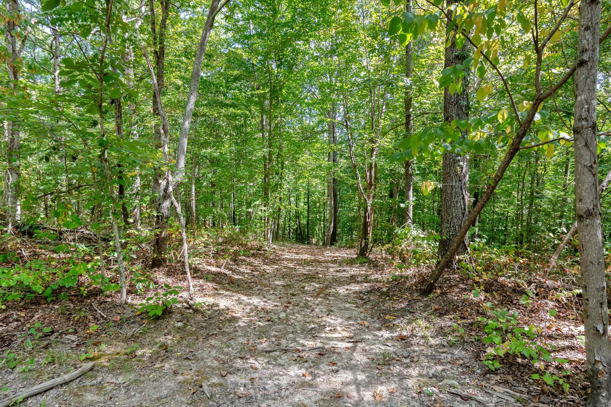 6011 Garrison Springs Road Franklin TN 37064