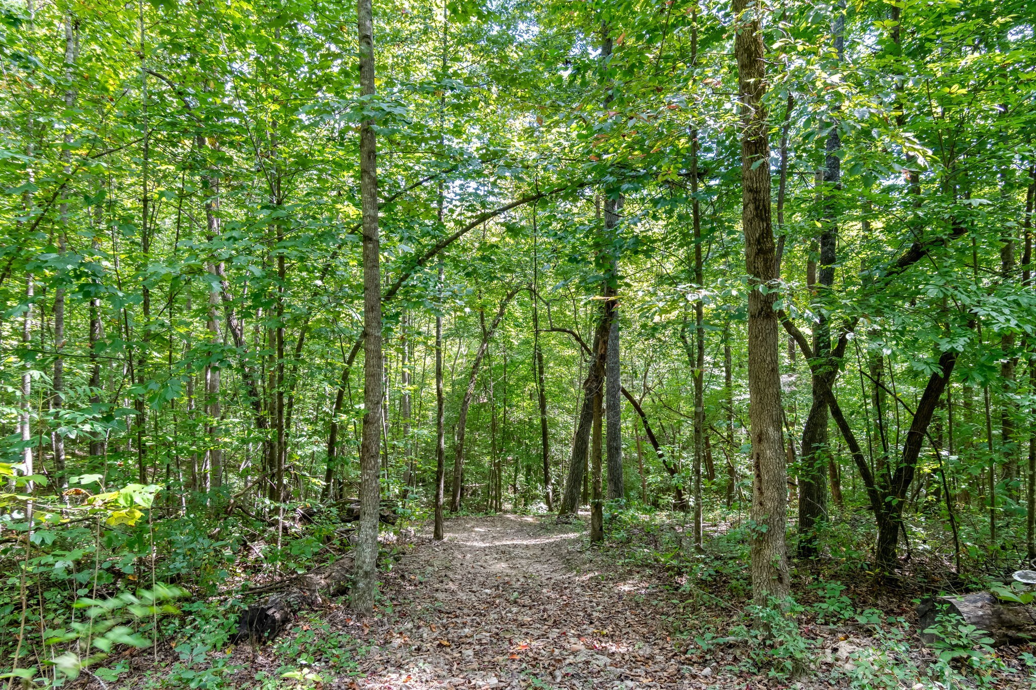 6011 Garrison Springs Road Franklin TN 37064