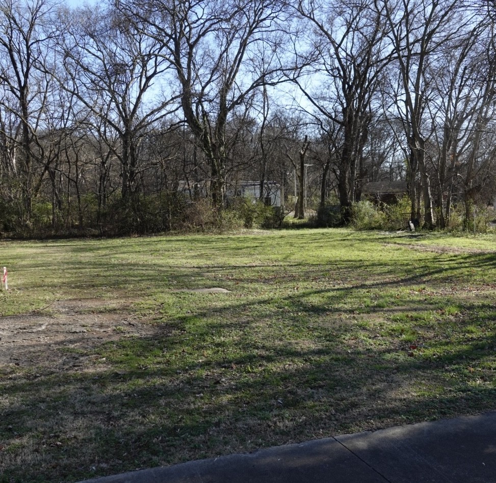 217 Olive Street Mount Pleasant TN 38474