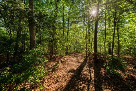 51 Acorn Cove Tracy City TN 37387