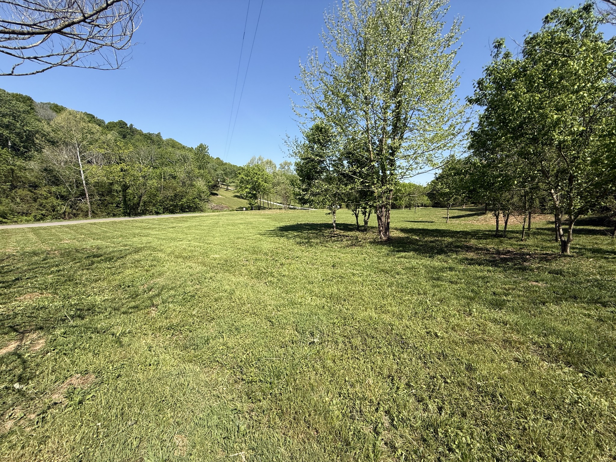 0 Rogues Fork Road Bethpage TN 37022
