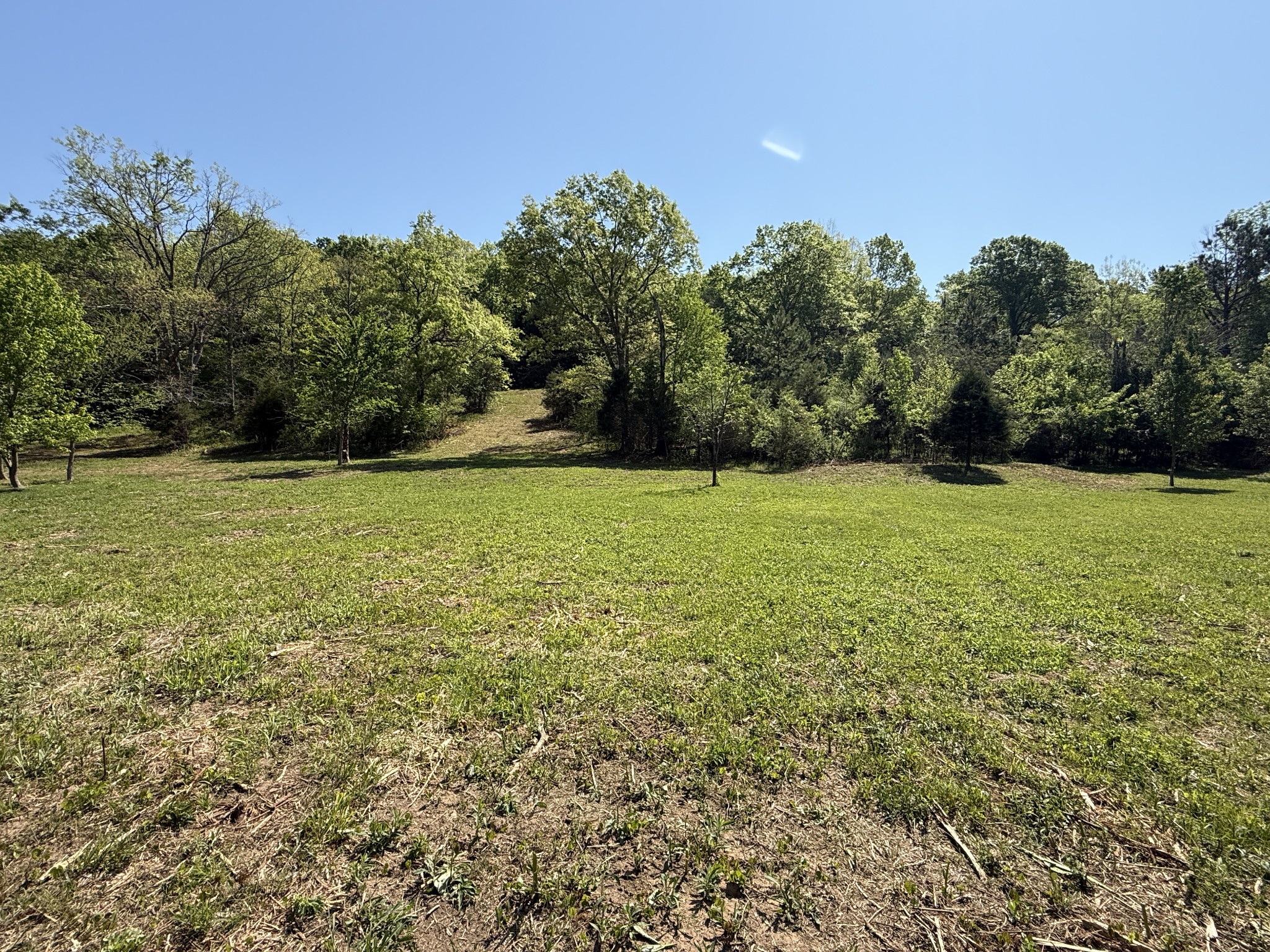 0 Rogues Fork Road Bethpage TN 37022