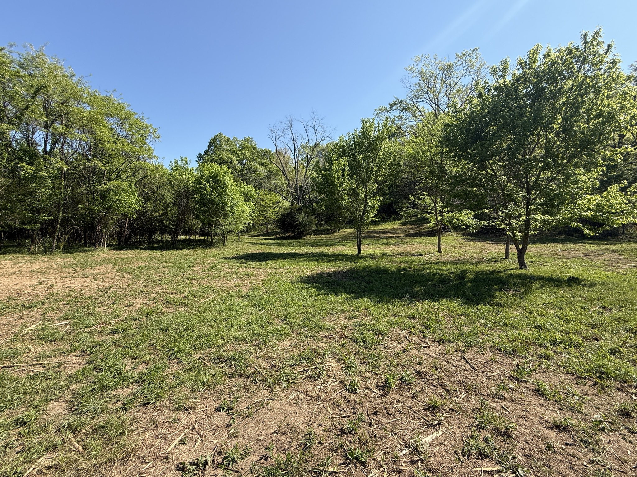 0 Rogues Fork Road Bethpage TN 37022