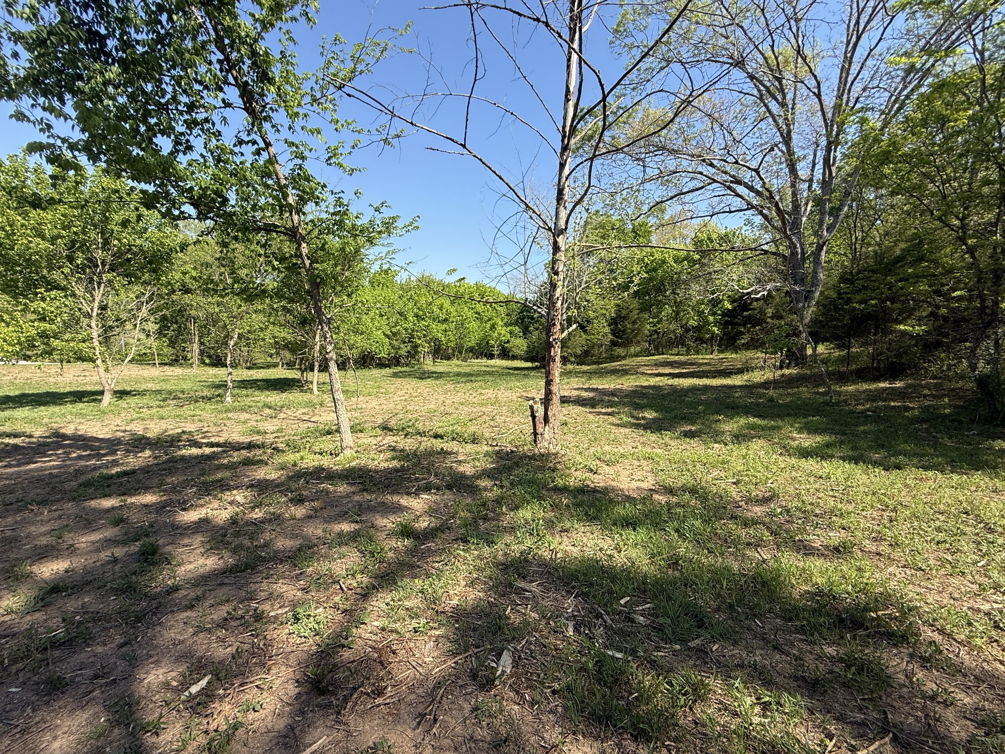 0 Rogues Fork Road Bethpage TN 37022