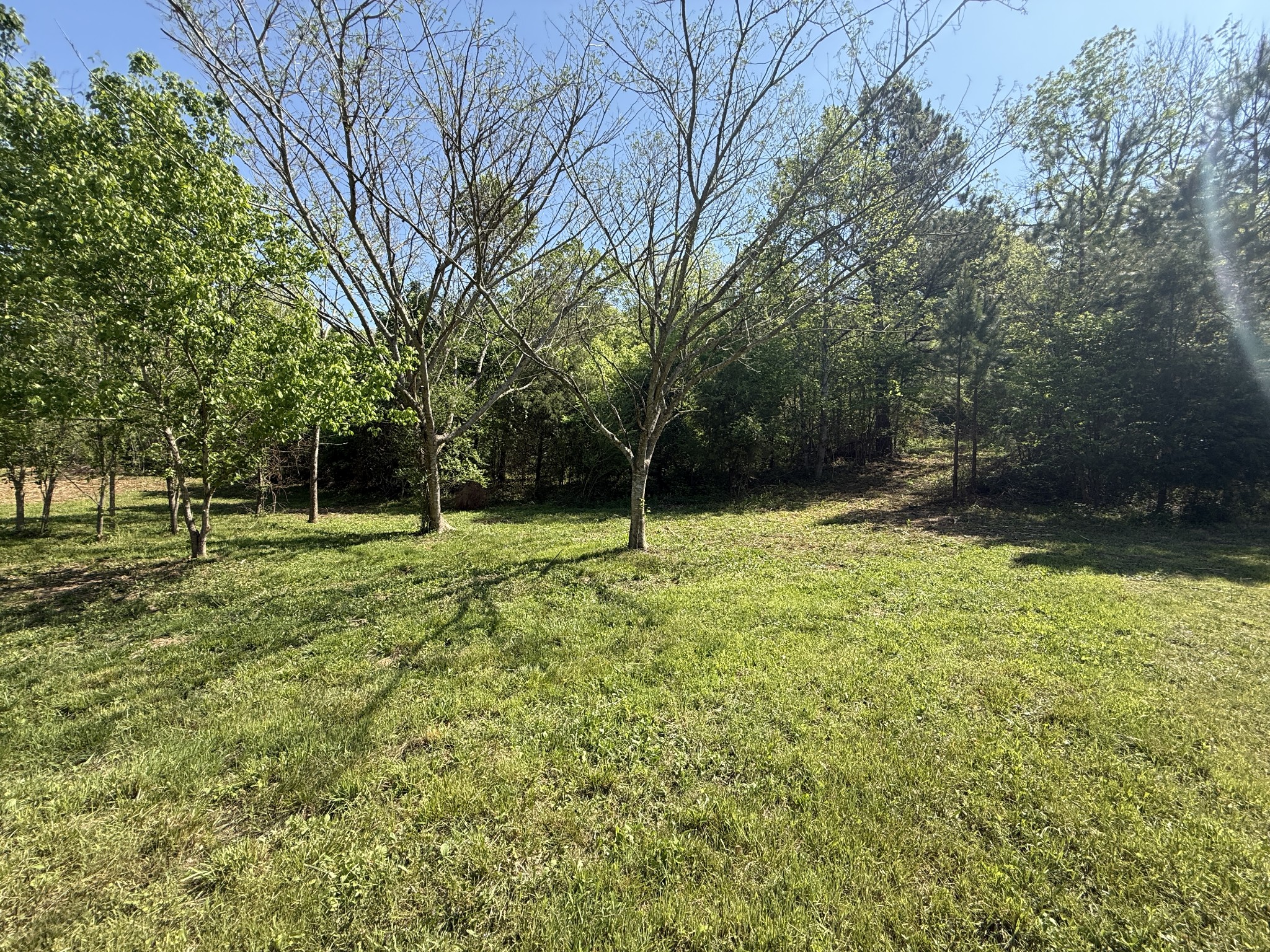 0 Rogues Fork Road Bethpage TN 37022