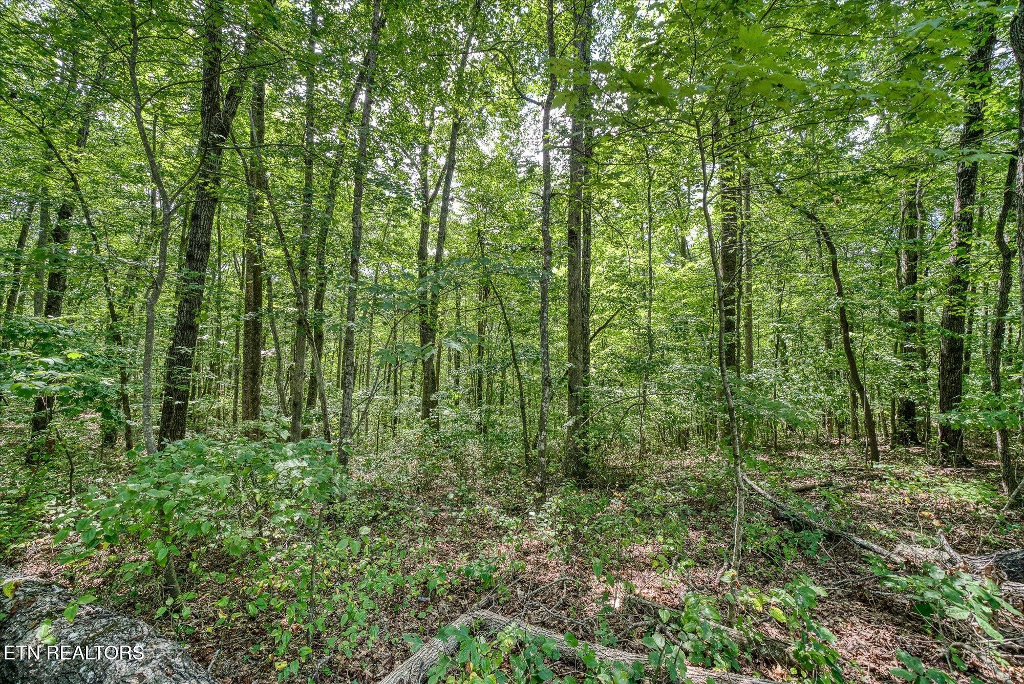 0 Creek Drive Monterey TN 38574