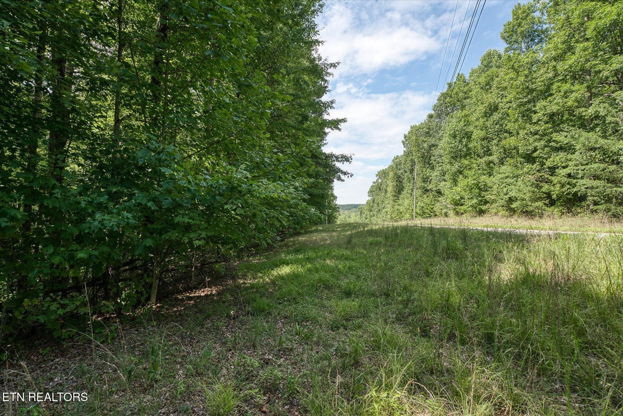 0 Creek Drive Monterey TN 38574
