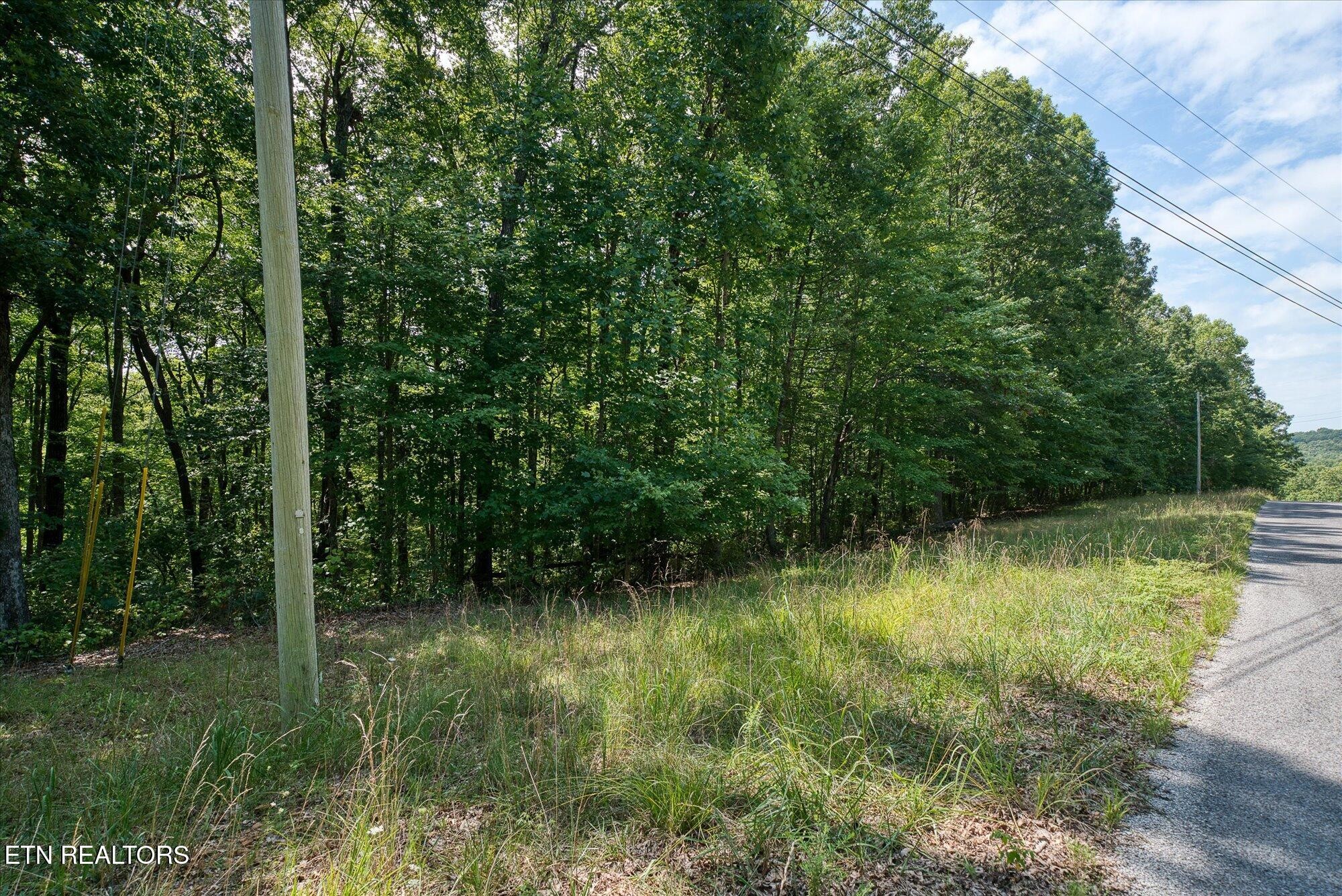0 Creek Drive Monterey TN 38574