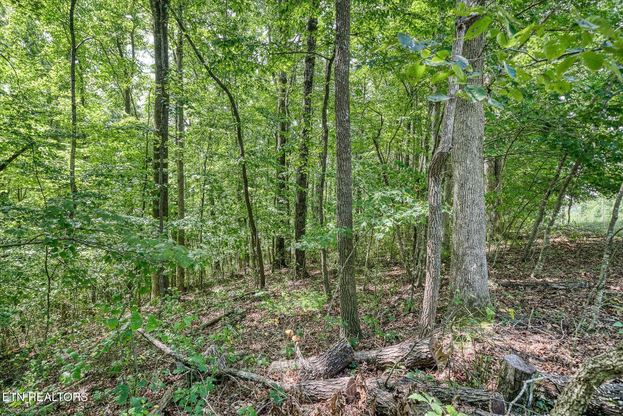 0 Creek Drive Monterey TN 38574