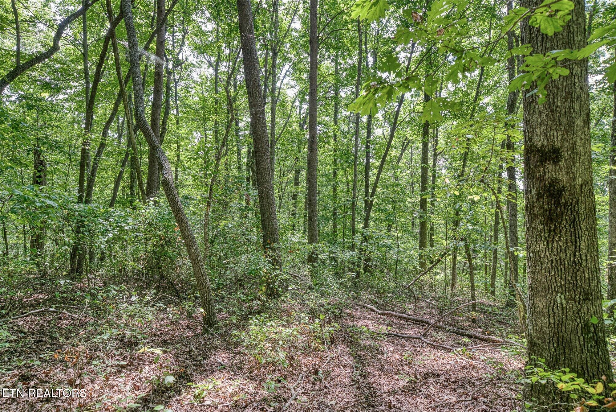 0 Creek Drive Monterey TN 38574
