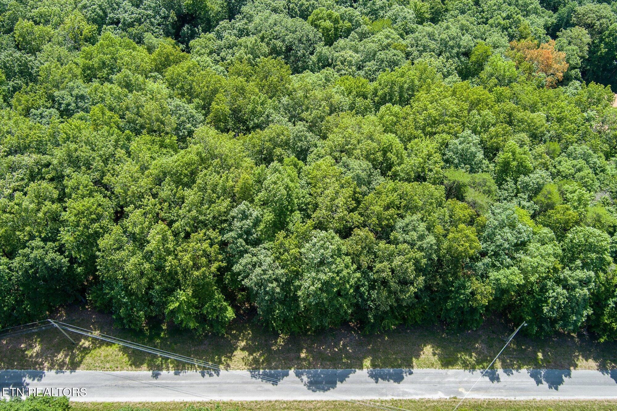 0 Creek Drive Monterey TN 38574